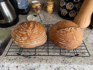 done bread.jpg done bread.jpg