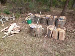 Splitting 22 inch white oak.jpg