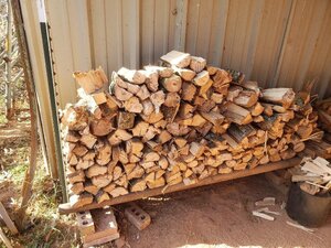3 day old White Oak splits.jpg