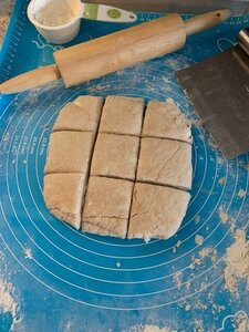 cut bisquits.jpg cut bisquits.jpg
