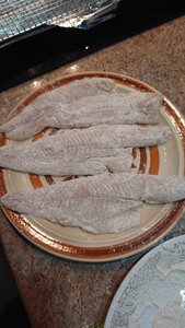 DSC_3878.JPG DSC_3878.JPG