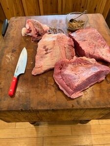 IMG_0365.jpg
