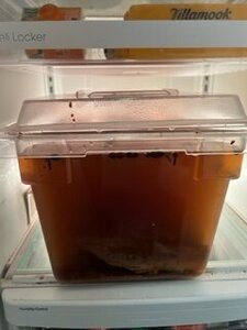 IMG_0367.jpg