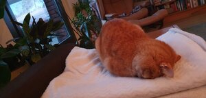 0B37F53D-8C4B-44E2-9570-3189086D17AC.jpeg