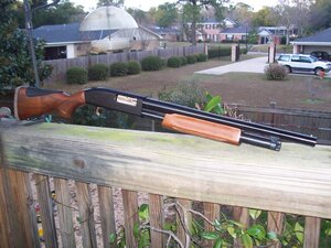 Mossy50012g18inch.jpg