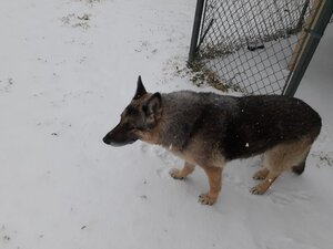 20220203_103011.jpg