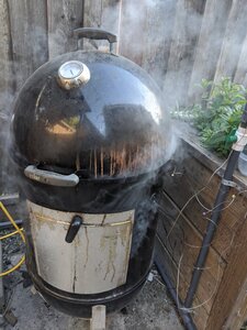 IMG_20200503_175944.jpg