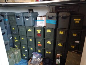 IMG_20210206_093905505_BURST002[1].jpg