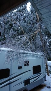 DSC_3989.JPG