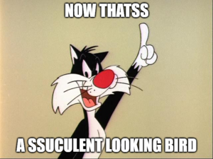 1644448620105.png
