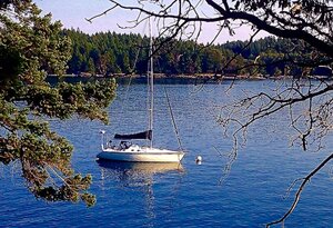 IMG_0834.JPG IMG_0834.JPG