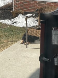 IMG_9968.jpg