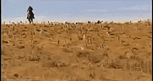 F%2Fmedia2.giphy.com%2Fmedia%2F86R8lVGGYElig%2F200.gif