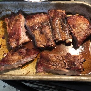 4th cook ribs (4).JPG