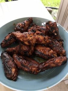 IMG_0229.jpeg