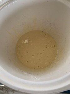 yeast and milk.jpg yeast and milk.jpg