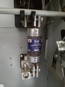 IMG_20220327_104814857.jpg