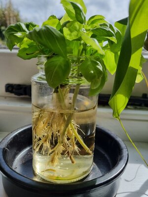 20220410_113133.jpg
