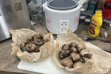 black-garlic-round-2-2.jpg