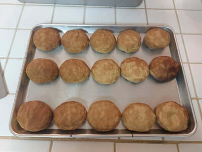 Buscuit-Lower-Rack-tops.jpg