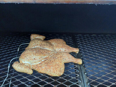 Chicken_2.jpg Chicken_2.jpg