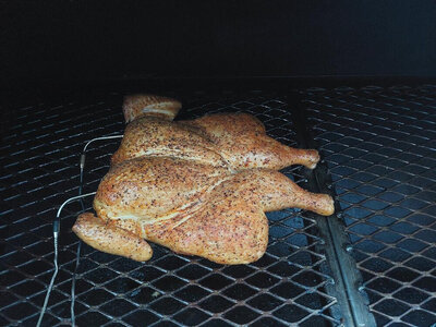 Chicken_1.jpg Chicken_1.jpg