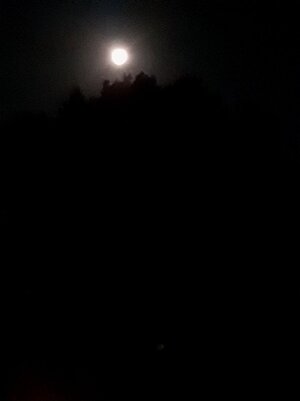 20220813_044449-jpg.jpg