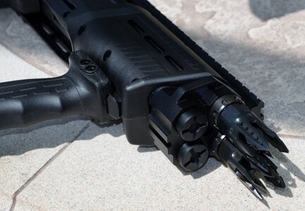 DP-12 Double barrel pump Std Arms.JPG