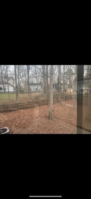 IMG_5102.jpeg