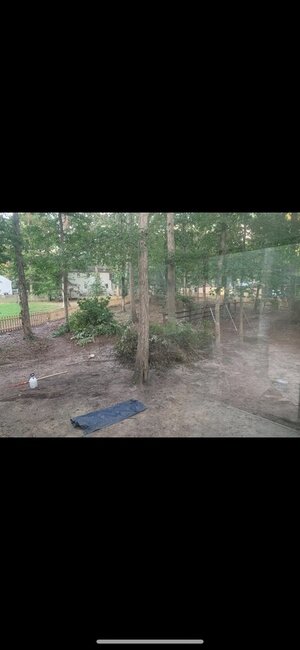 IMG_5103.jpeg
