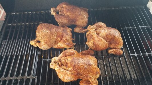 Boudin-stuffed Cornish Hens-1.jpg