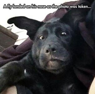 7D58F8B5-D462-4666-99DD-DEE544EEED92.jpeg