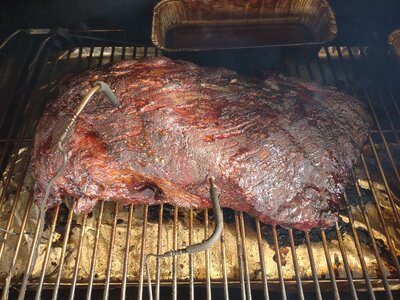 IMG_20221228_115435408.jpg IMG_20221228_115435408.jpg