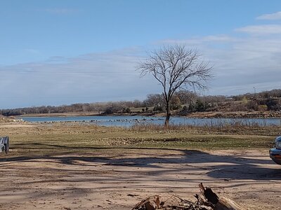 IMG_20221216_141455366.jpg IMG_20221216_141455366.jpg