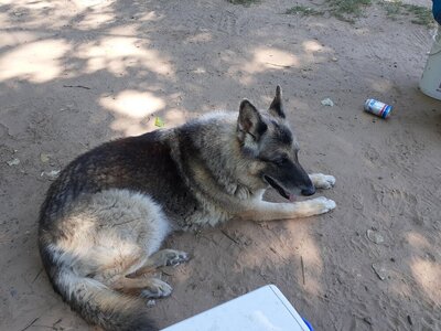 20220923_131401.jpg 20220923_131401.jpg