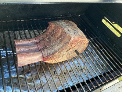 IMG_2023.jpeg