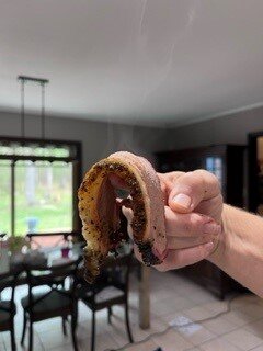 bagels and brisket 3.jpg