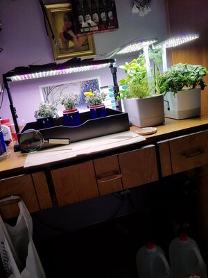 20200414_151056.jpg