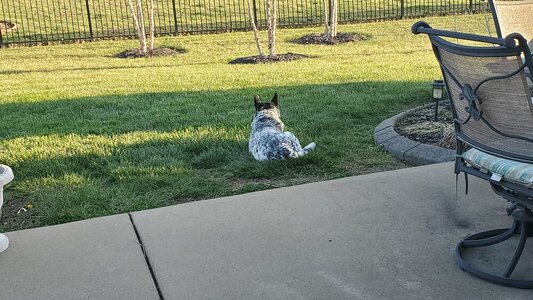 20230402_182319.jpg