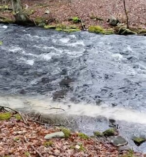 Ashes flowing down the creek.jpeg