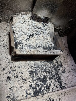 Ash Pile.jpeg