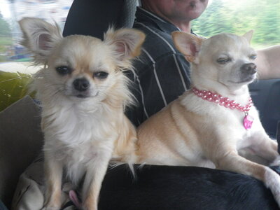 Monas July 2011 157.JPG