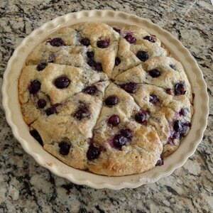 Blueberry Scones 2023-02-11_2.jpg