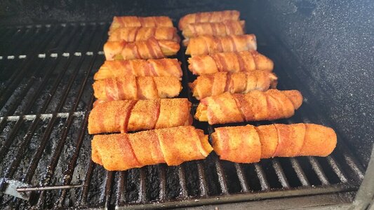 shotgun shells just on.jpg