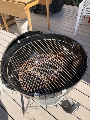 IMG_5936.jpeg IMG_5936.jpeg