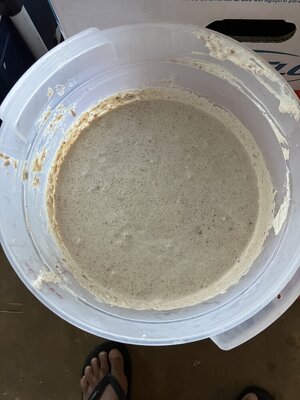 IMG_0134.jpeg