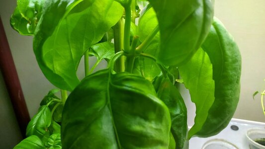 20230722_100317.jpg 20230722_100317.jpg