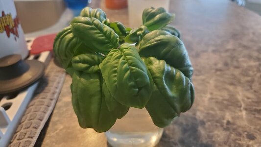 20230722_100457.jpg 20230722_100457.jpg