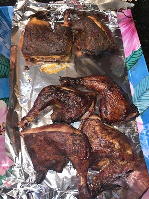 IMG_1394.jpeg IMG_1394.jpeg