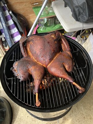 IMG_0174.jpeg
